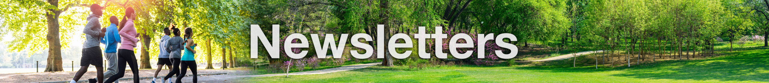 page title newsletters page title newsletters