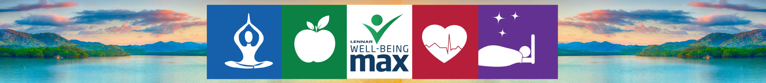 well being max image